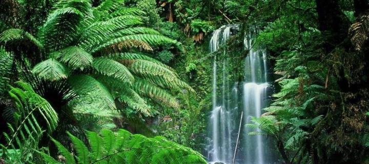 Das Tropical Forest Waterfall Wallpaper 720x320