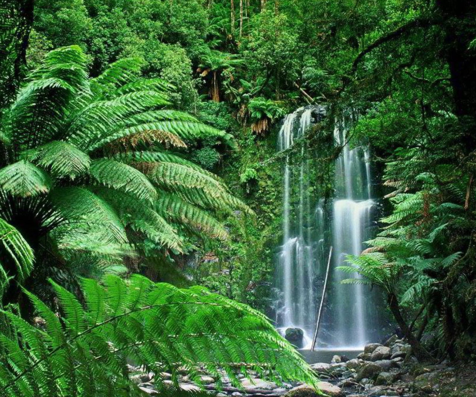 Screenshot №1 pro téma Tropical Forest Waterfall 960x800