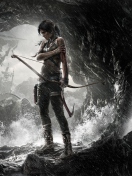 Sfondi Tomb Raider 132x176