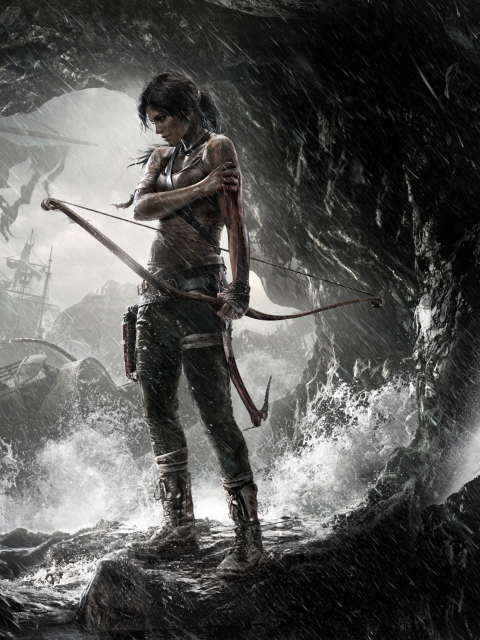 Das Tomb Raider Wallpaper 480x640