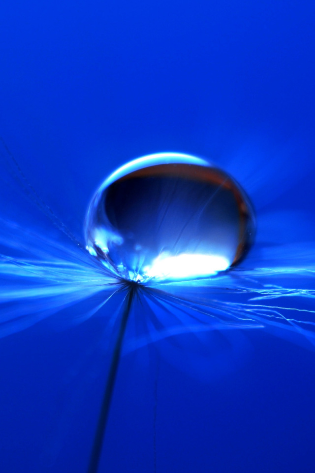 Screenshot №1 pro téma Macro Blue Drop HD 640x960