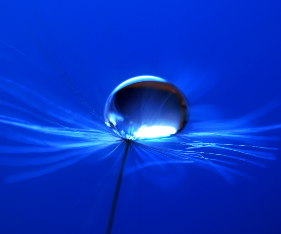 Macro Blue Drop HD screenshot #1 960x800