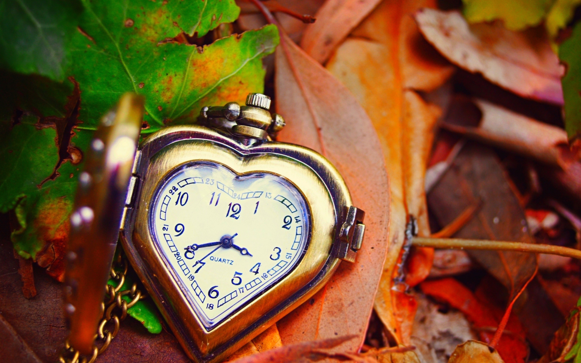 Vintage Heart-Shaped Watch wallpaper 1920x1200