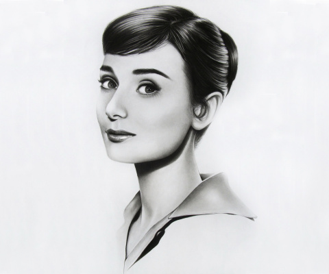 Fondo de pantalla Audrey Hepburn Portrait 480x400