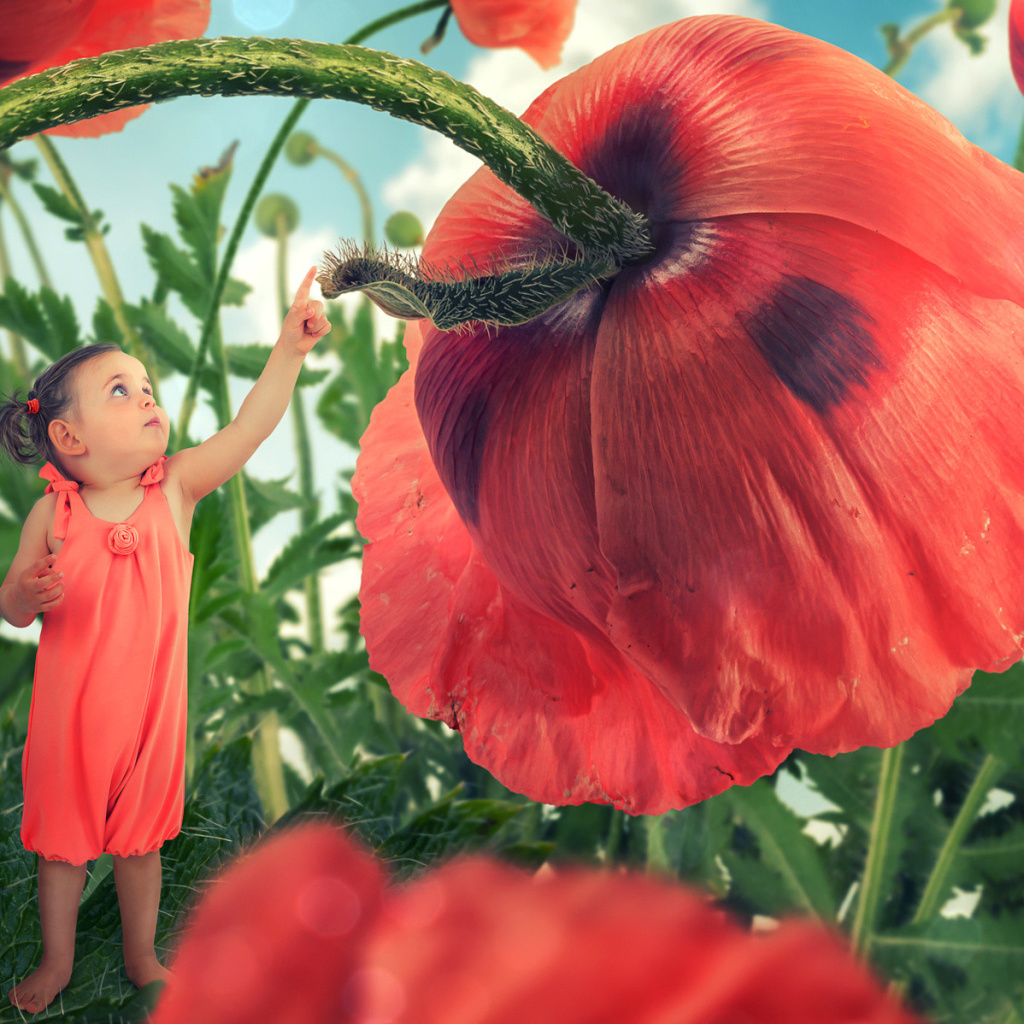 Little kid on poppy flower wallpaper 1024x1024