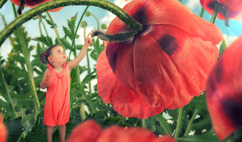 Обои Little kid on poppy flower 1024x600