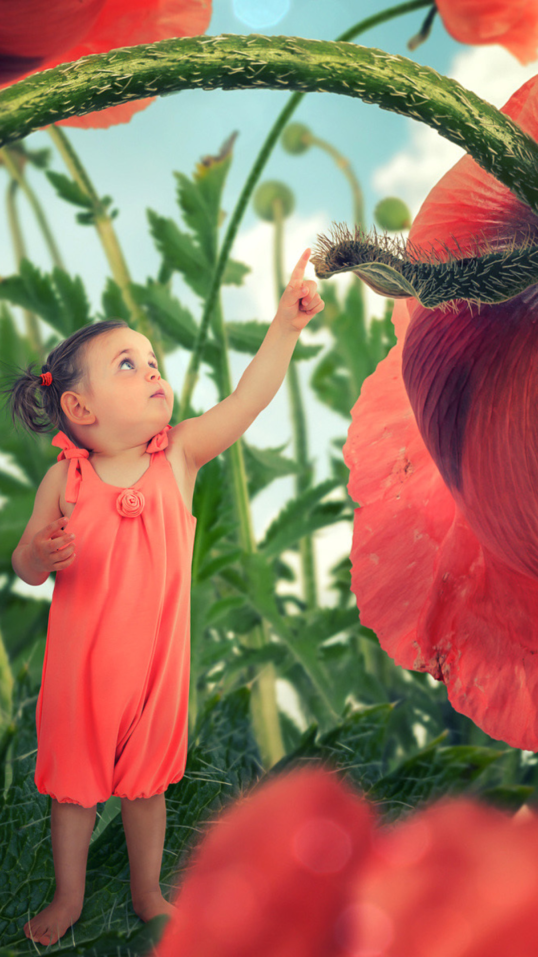 Little kid on poppy flower wallpaper 1080x1920