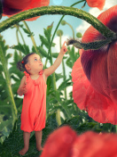 Little kid on poppy flower wallpaper 132x176