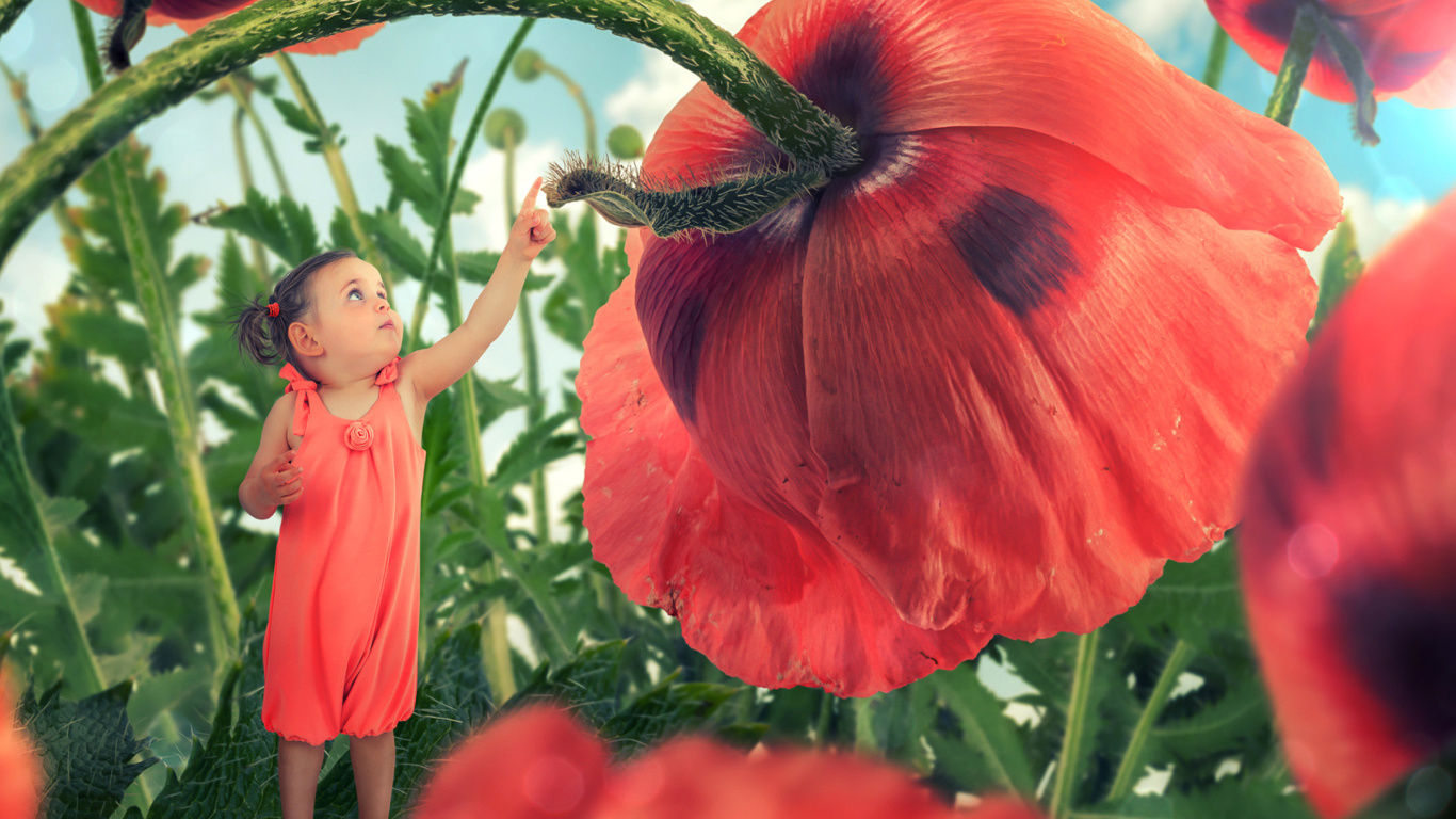 Das Little kid on poppy flower Wallpaper 1366x768