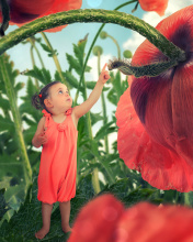Little kid on poppy flower wallpaper 176x220