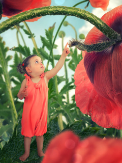 Little kid on poppy flower wallpaper 240x320