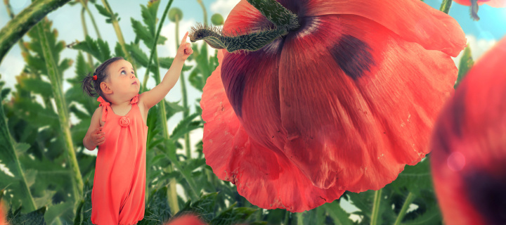 Little kid on poppy flower screenshot #1 720x320