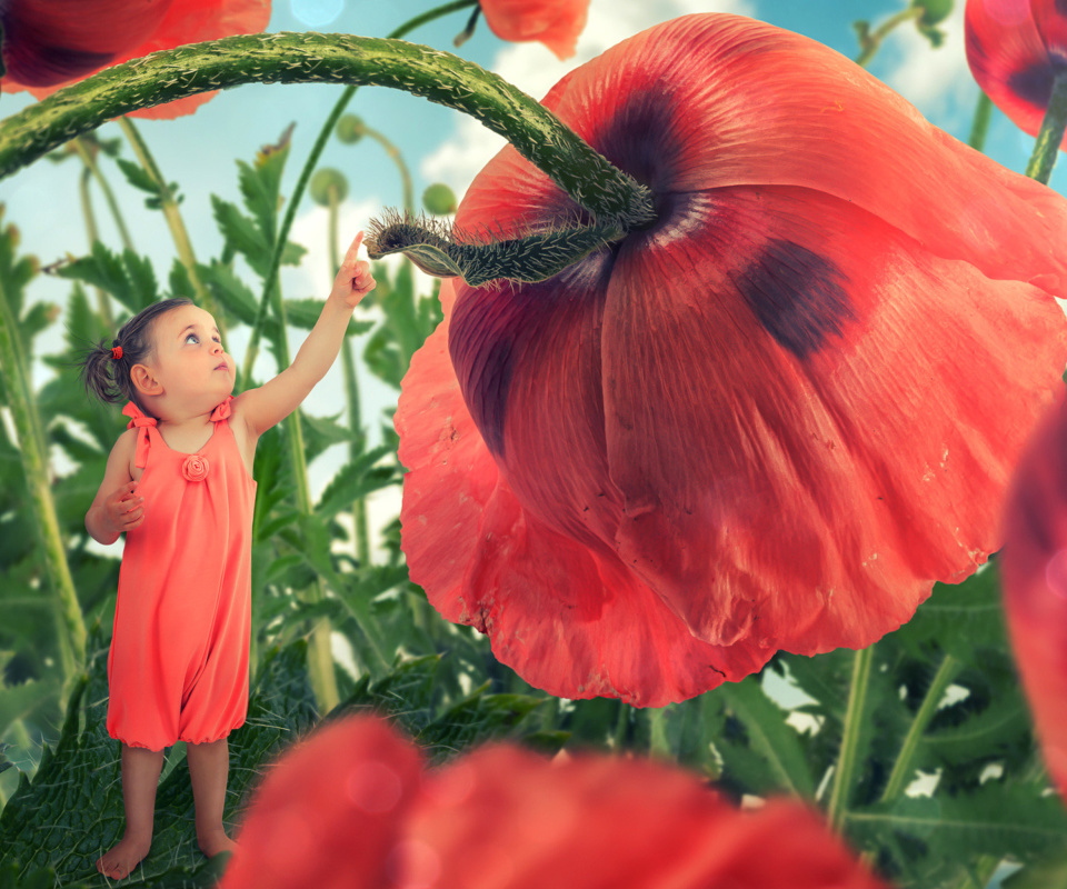 Little kid on poppy flower wallpaper 960x800