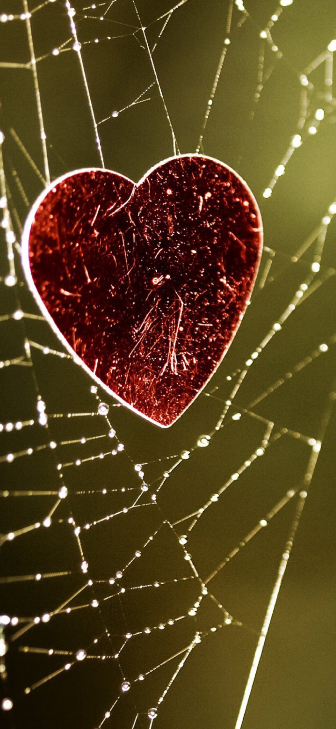 Sfondi Heart In Spider Web 1170x2532