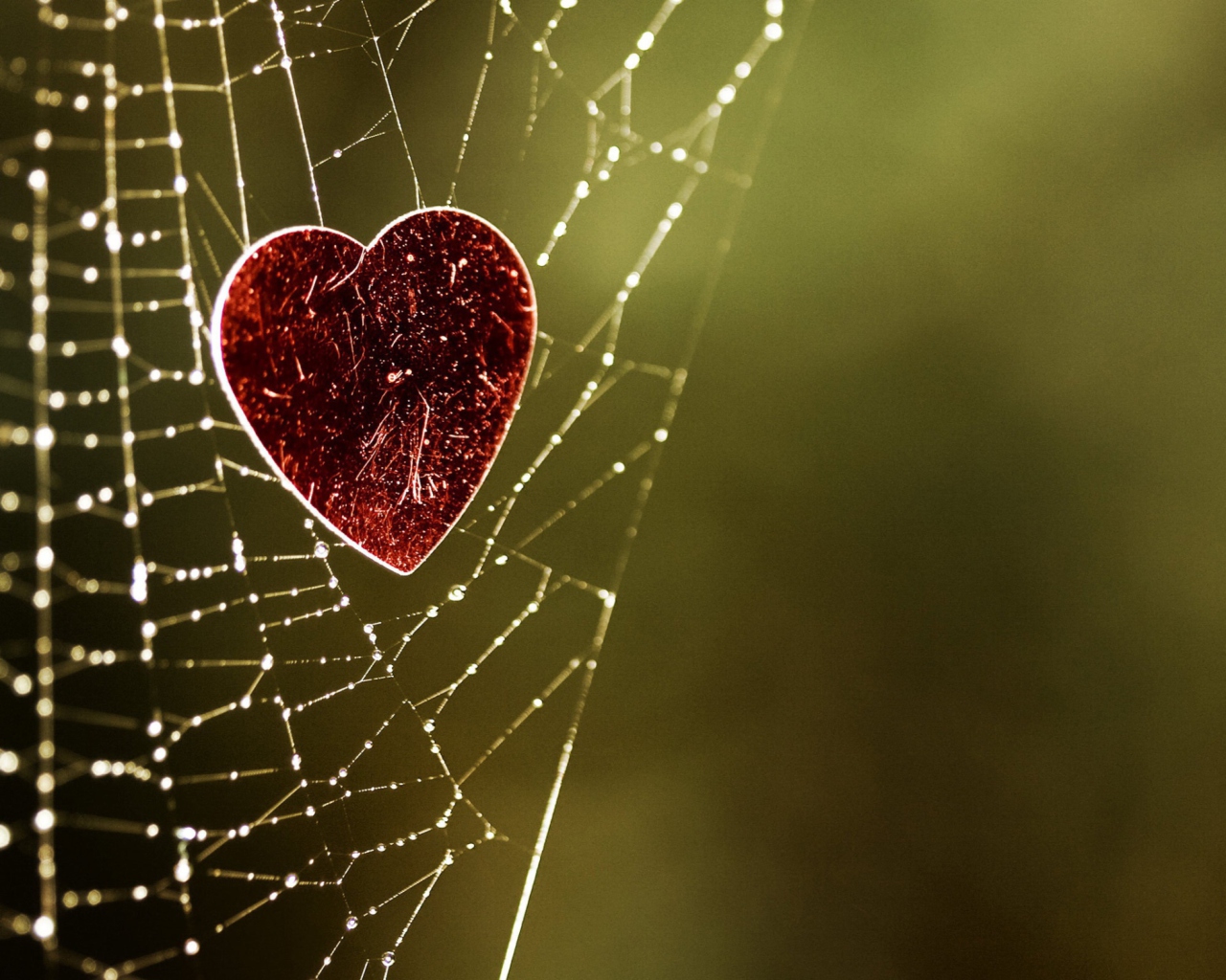 Heart In Spider Web wallpaper 1280x1024