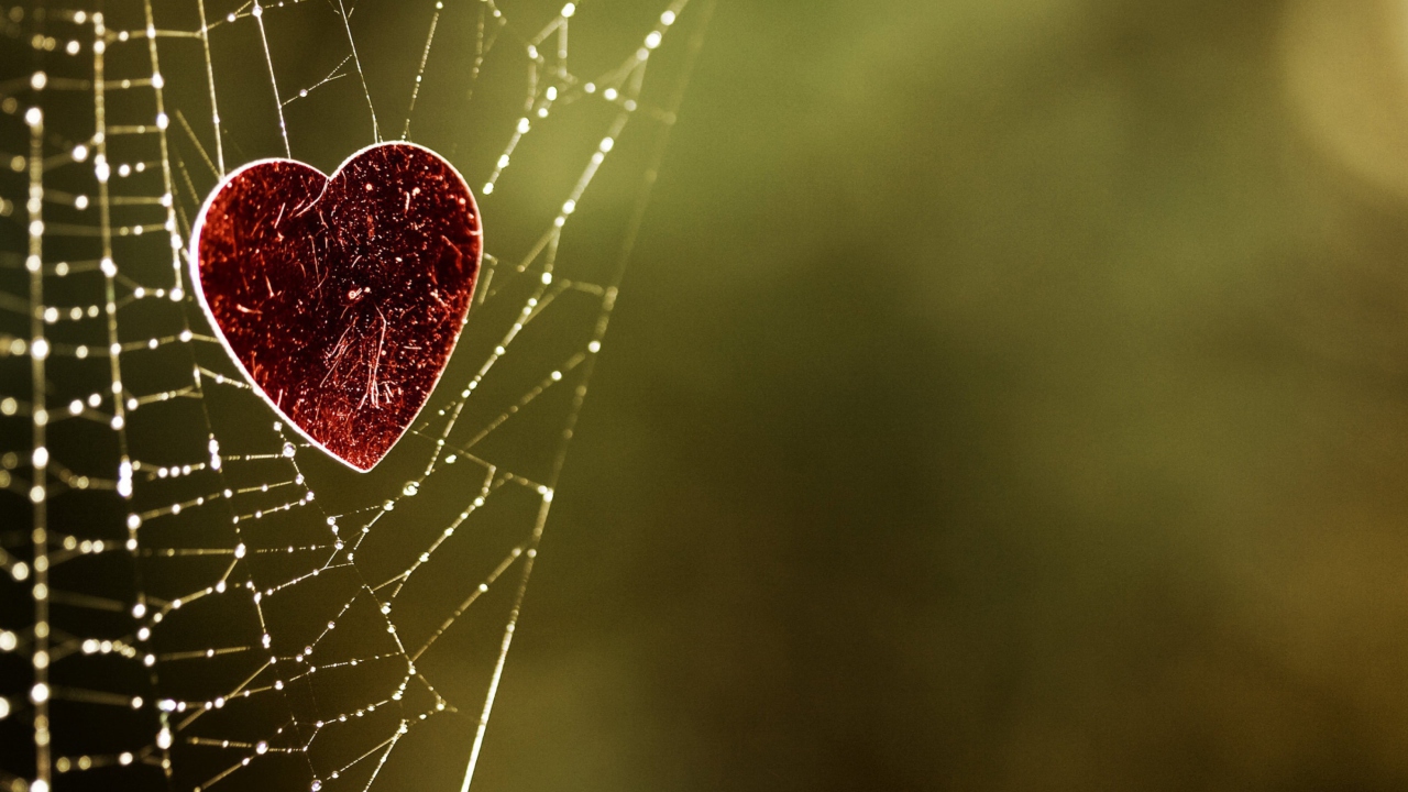 Sfondi Heart In Spider Web 1280x720