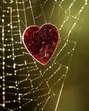 Fondo de pantalla Heart In Spider Web 128x160