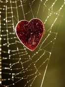 Fondo de pantalla Heart In Spider Web 132x176