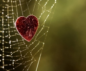 Fondo de pantalla Heart In Spider Web 176x144