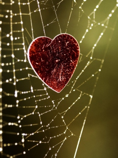 Das Heart In Spider Web Wallpaper 240x320