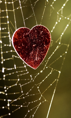 Fondo de pantalla Heart In Spider Web 240x400