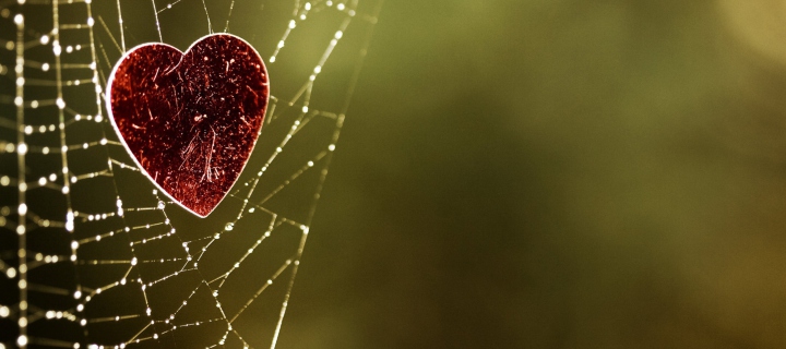 Das Heart In Spider Web Wallpaper 720x320