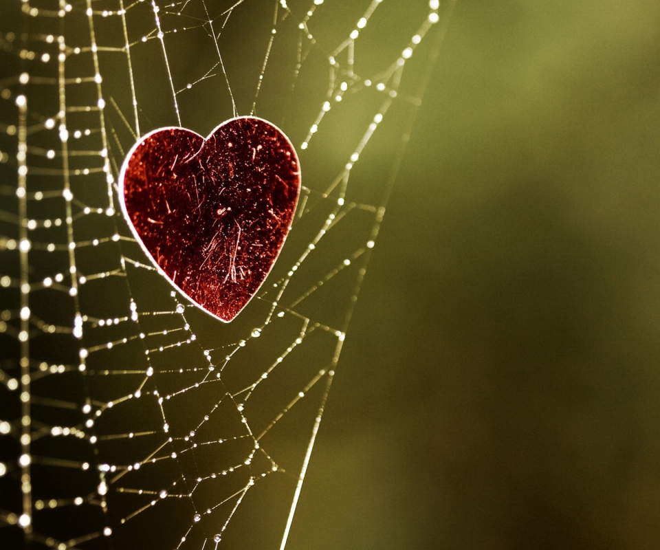 Das Heart In Spider Web Wallpaper 960x800