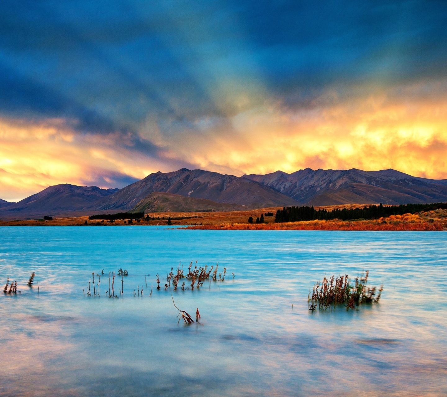 Das New Zealand Wallpaper 1440x1280