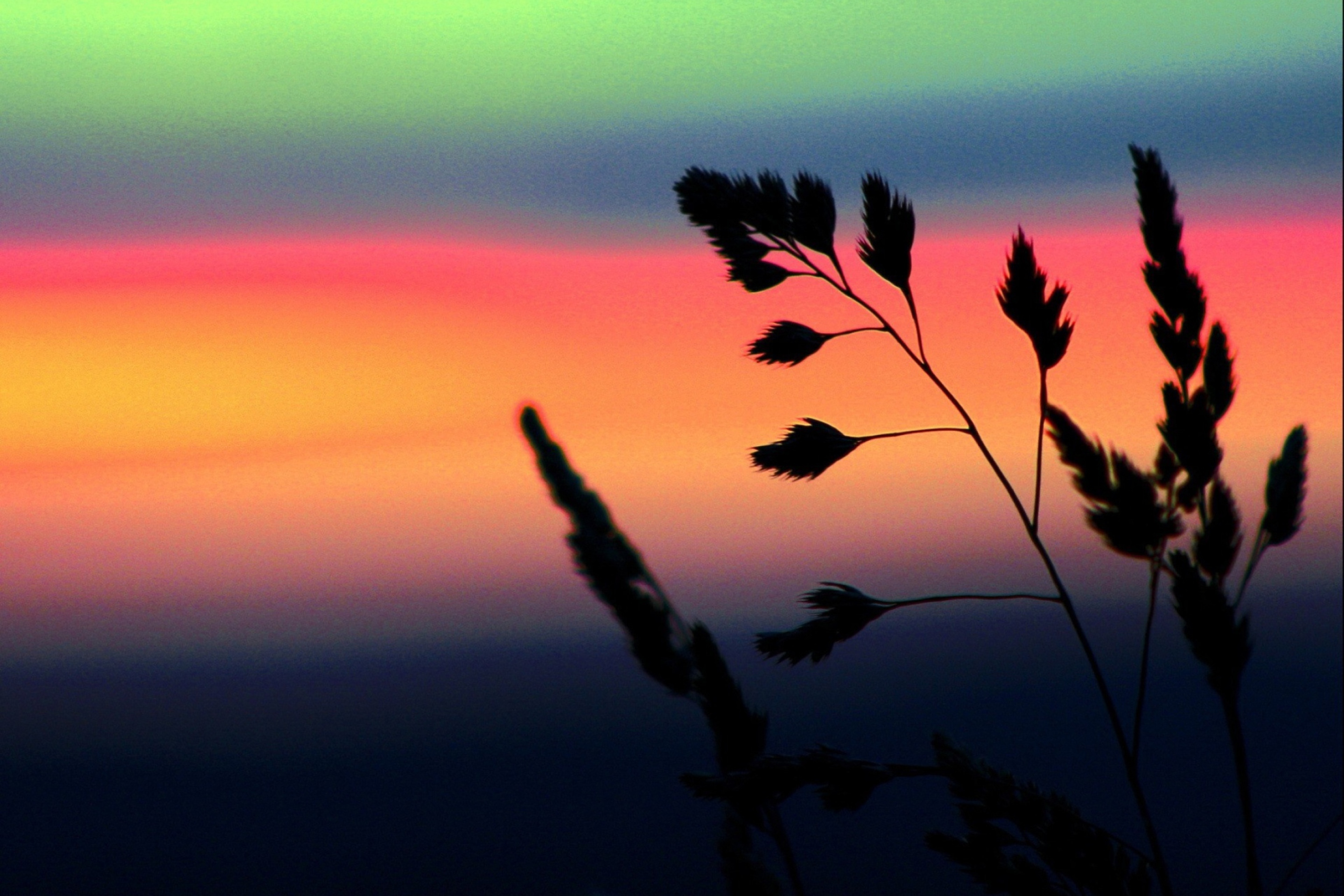 Herbs And Rainbow Sky screenshot #1 2880x1920