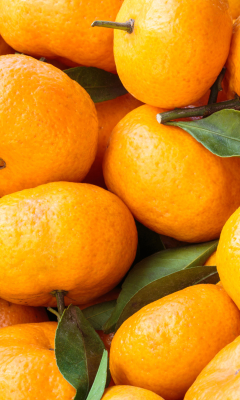 Tangerines wallpaper 480x800