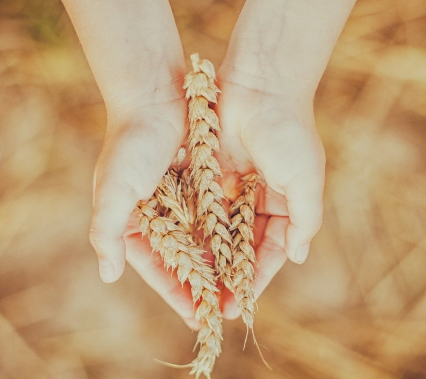 Nature In Hands screenshot #1 1440x1280