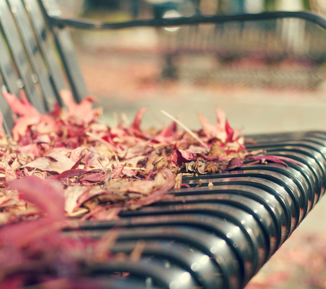 Das Macro autumn bench Wallpaper 1080x960