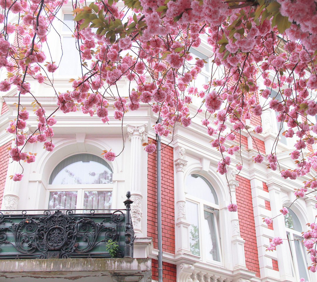 Spring Paris wallpaper 1080x960