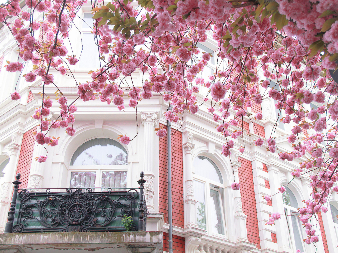 Spring Paris wallpaper 1280x960