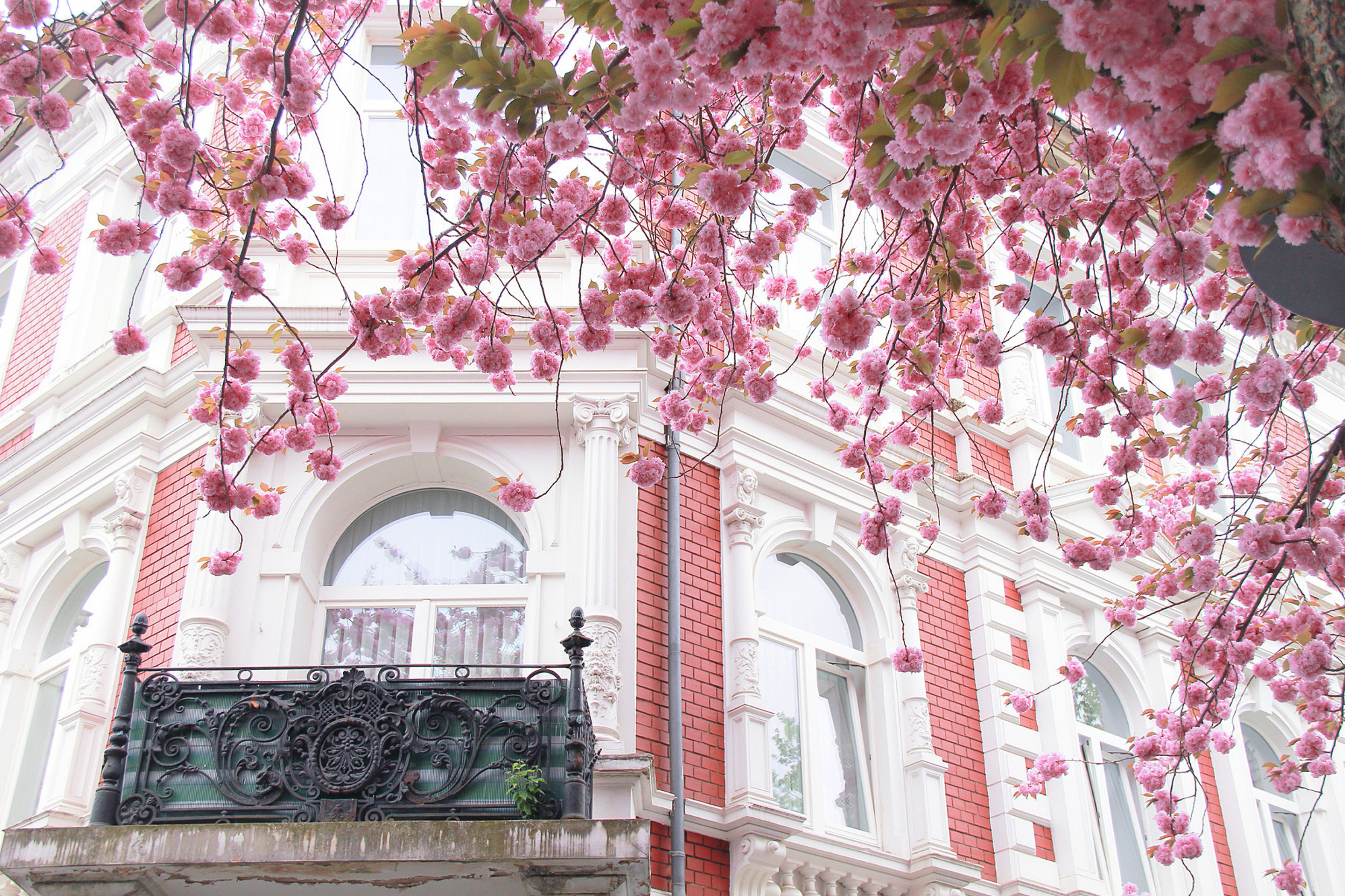 Spring Paris wallpaper 2880x1920