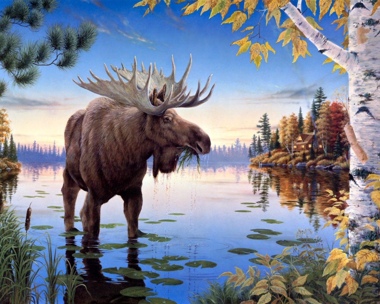 Das Elk Wallpaper 1280x1024
