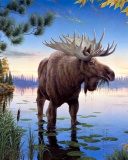 Das Elk Wallpaper 128x160