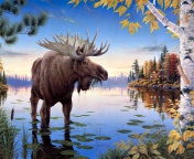 Sfondi Elk 176x144
