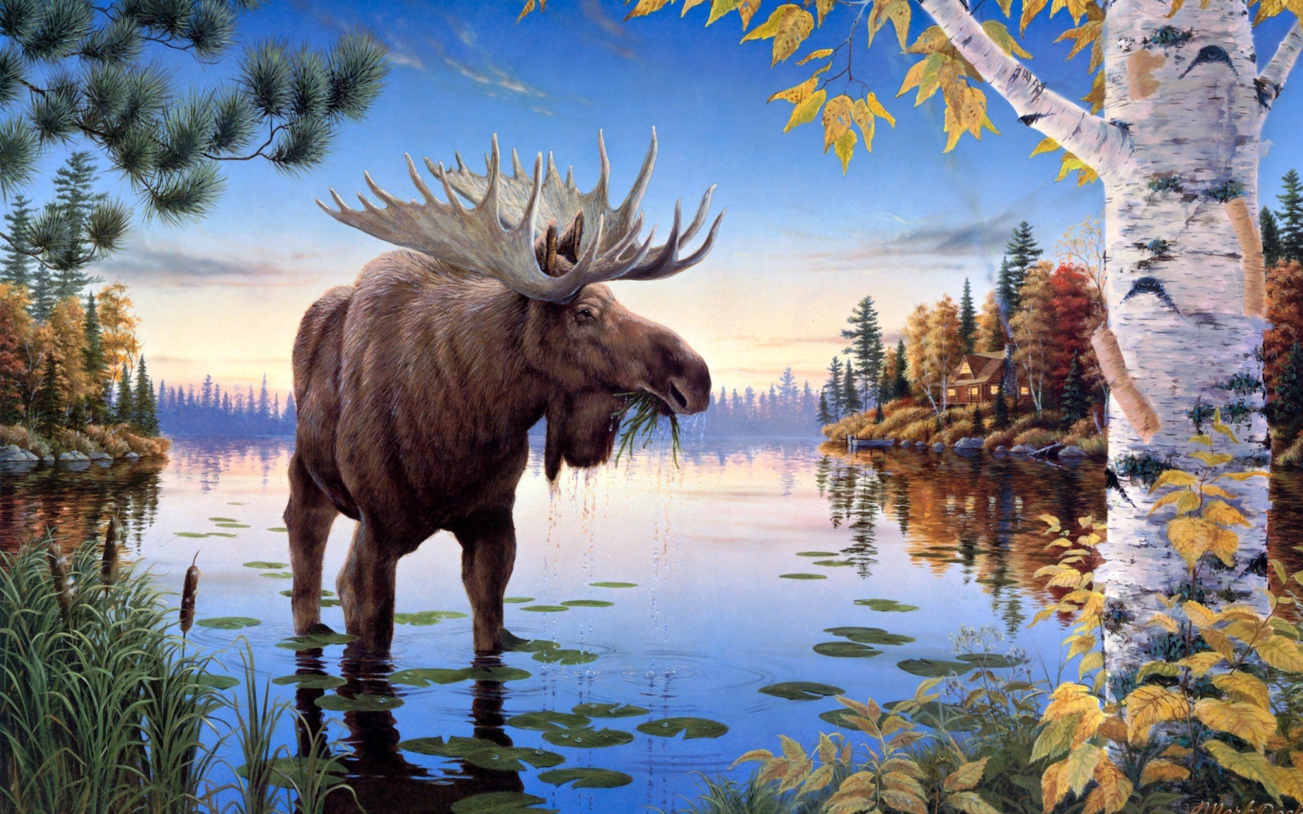 Elk screenshot #1 2560x1600