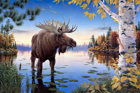 Das Elk Wallpaper 480x320