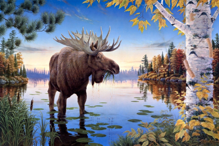 Elk wallpaper
