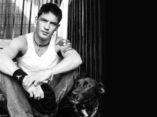 Das Tom Hardy Wallpaper 320x240