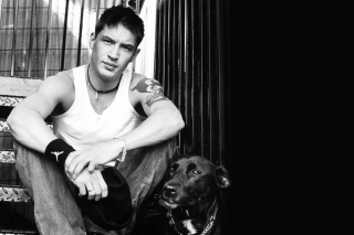 Free Tom Hardy Picture for Android, iPhone and iPad