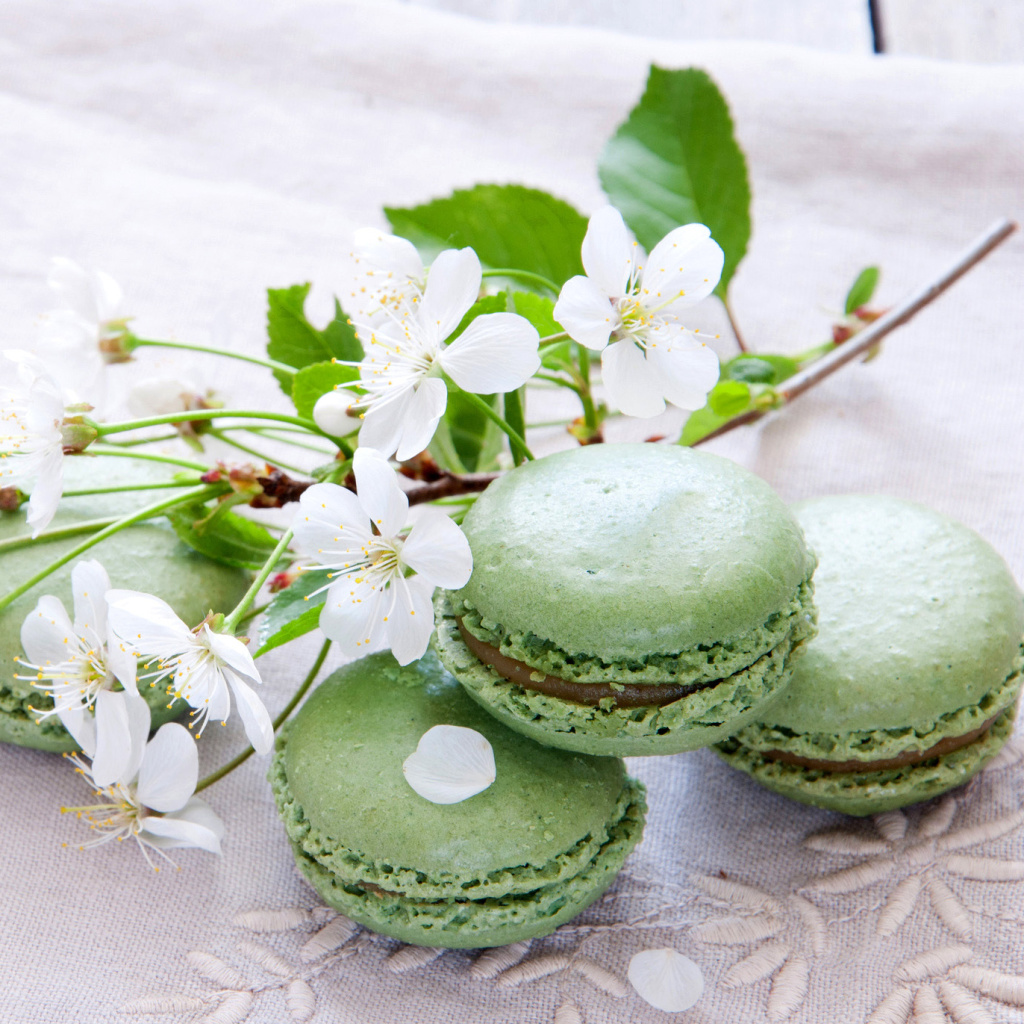 Pistachio Macaron wallpaper 1024x1024