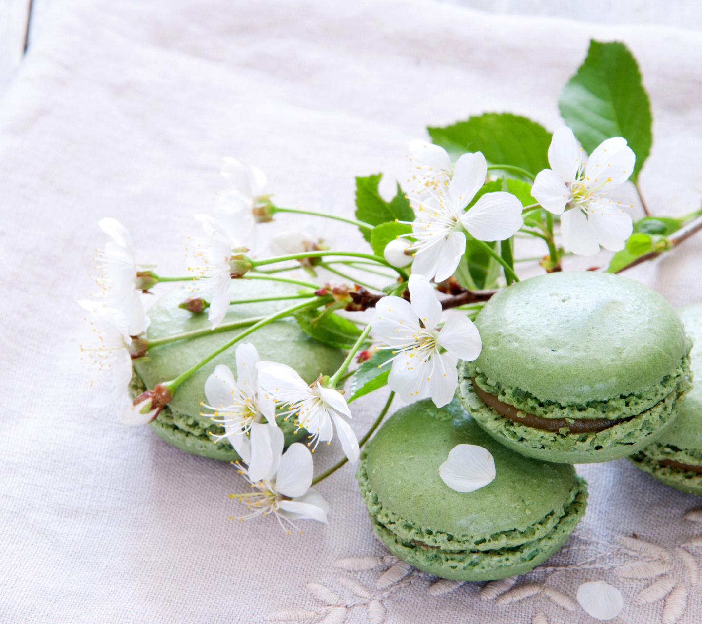 Das Pistachio Macaron Wallpaper 1440x1280