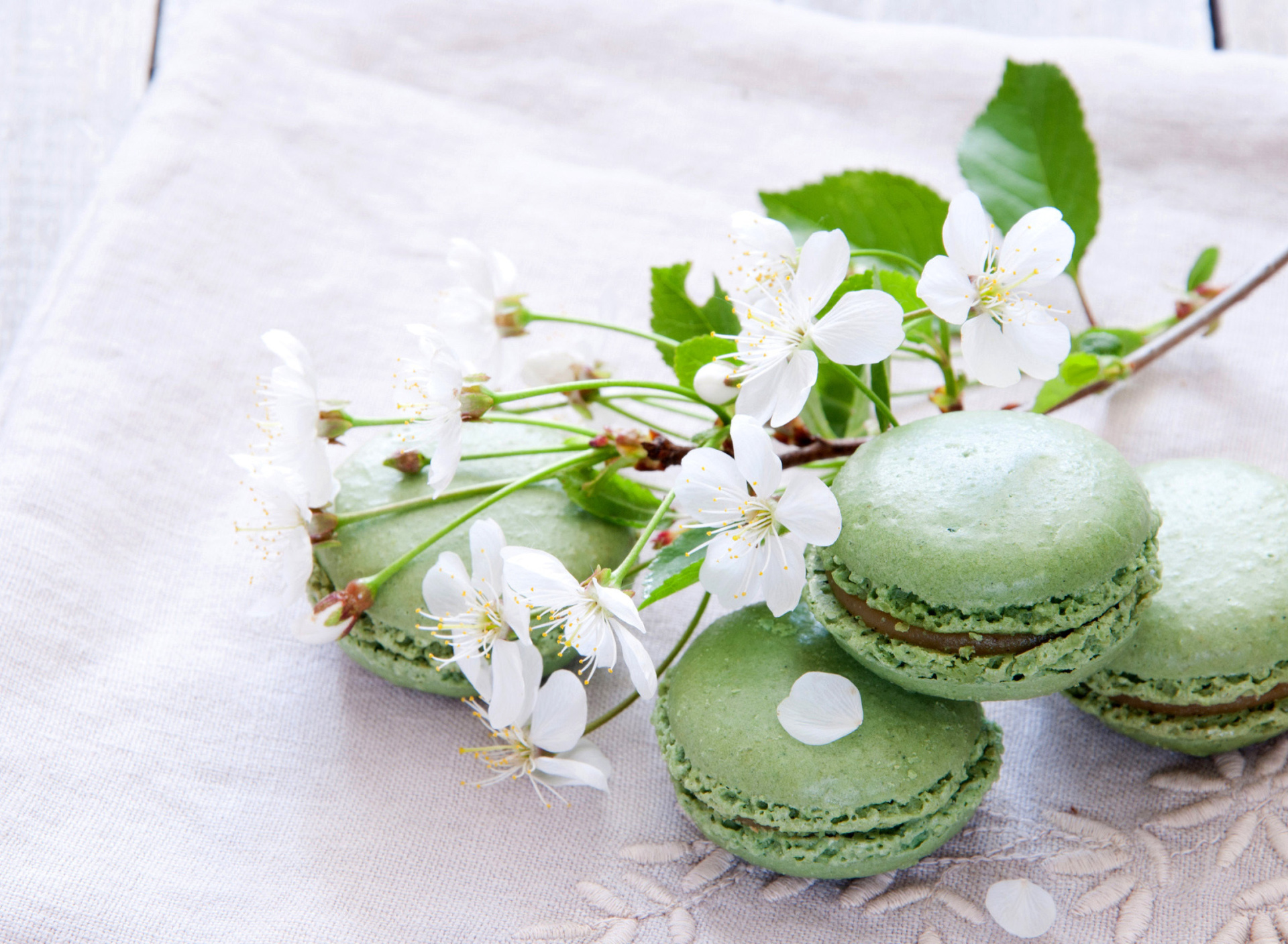 Das Pistachio Macaron Wallpaper 1920x1408