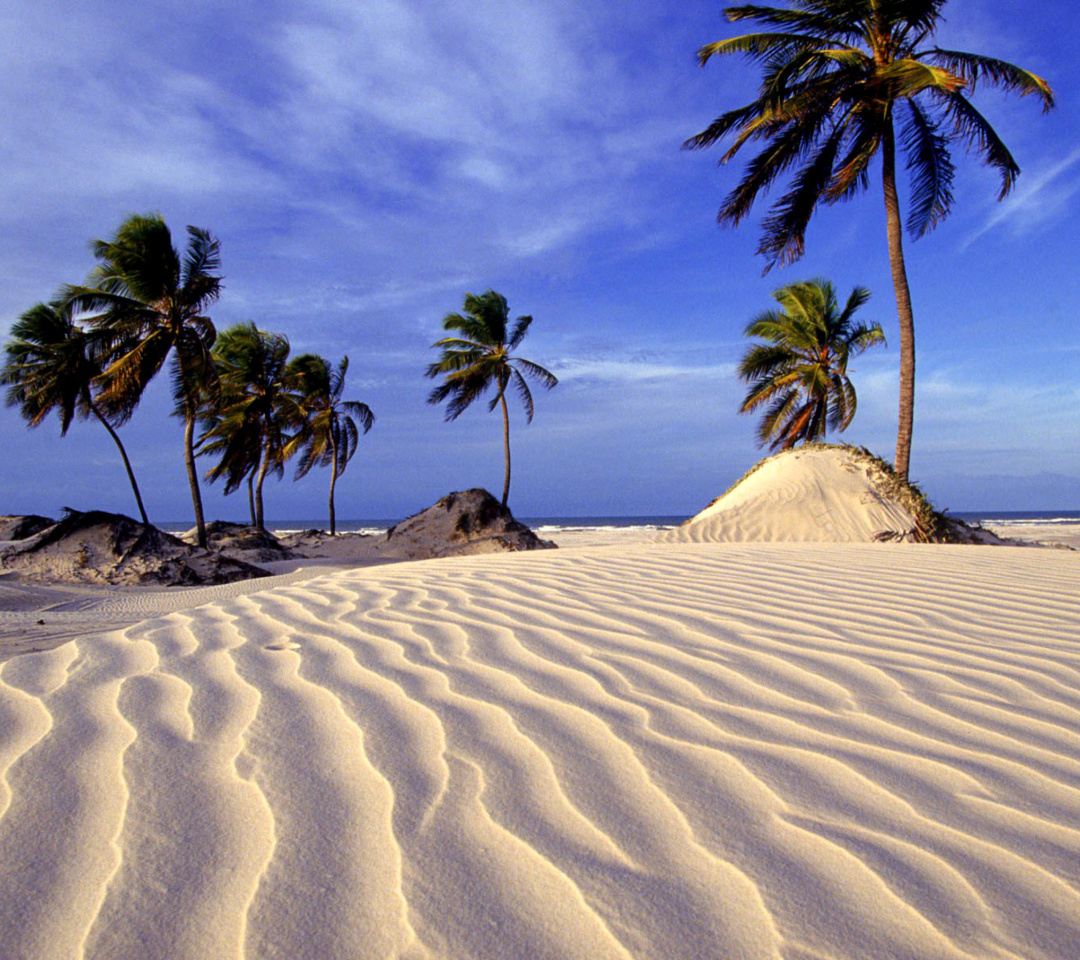 Обои Bahia Beach Resorts Puerto Rico 1080x960
