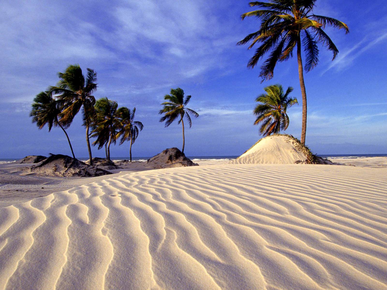 Bahia Beach Resorts Puerto Rico screenshot #1 1600x1200