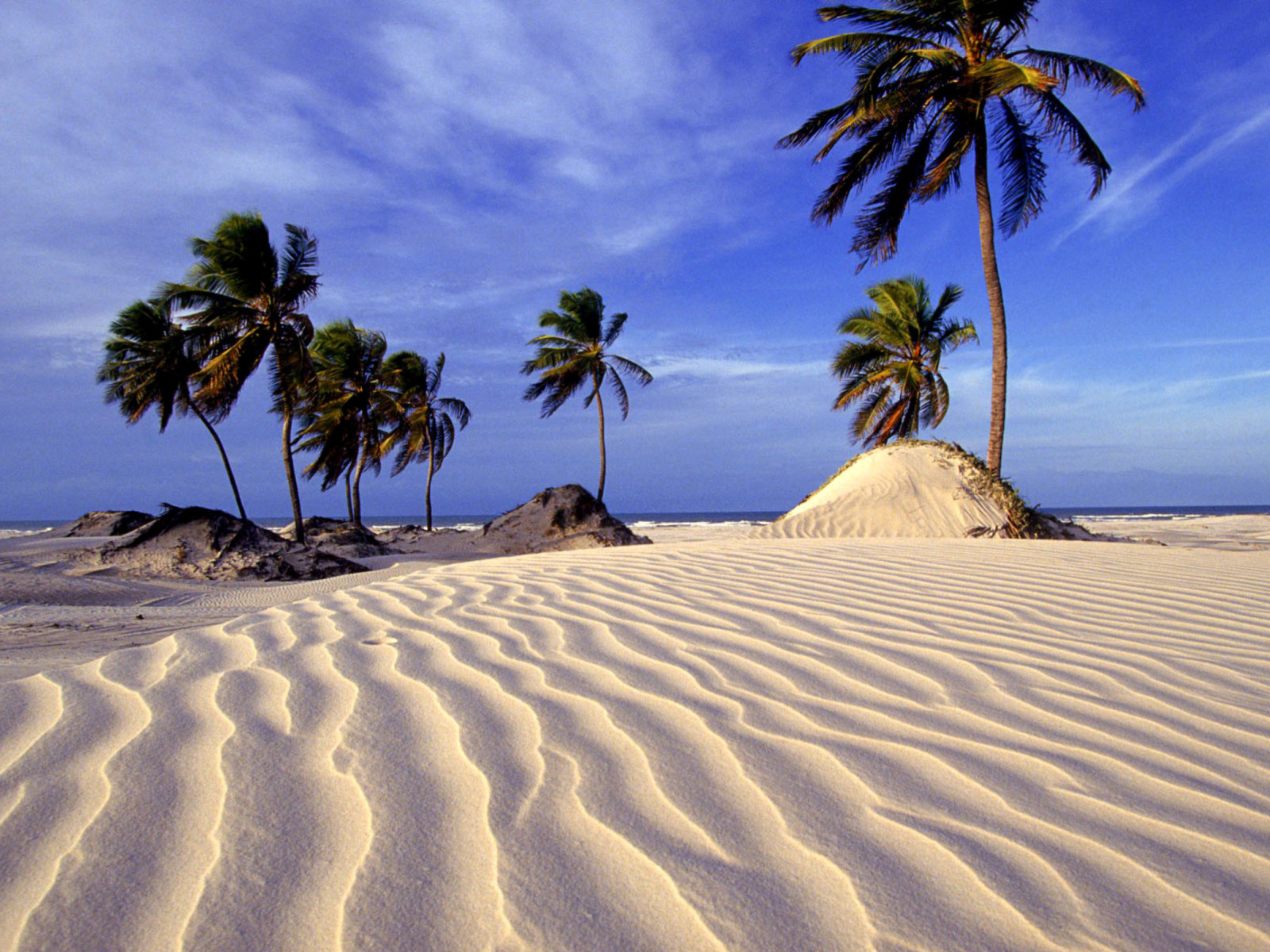 Fondo de pantalla Bahia Beach Resorts Puerto Rico 1600x1200