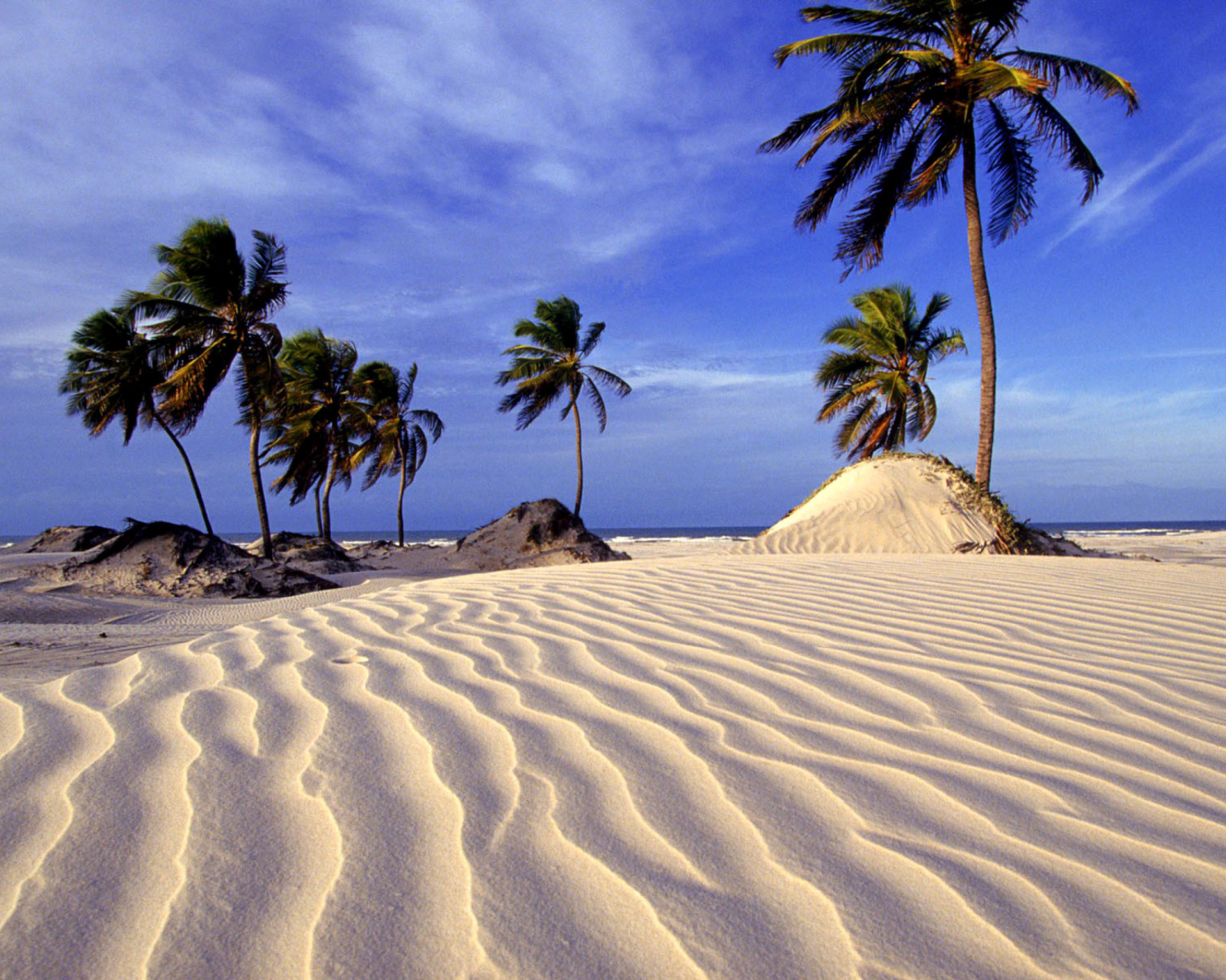 Обои Bahia Beach Resorts Puerto Rico 1600x1280